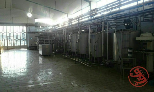 قیمت کارخانه تولید پنیر UF 11